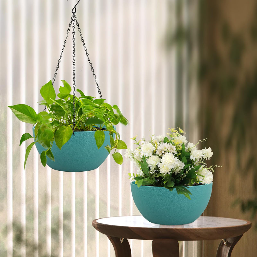 Meowell hanging planters displayed indoors with flowers