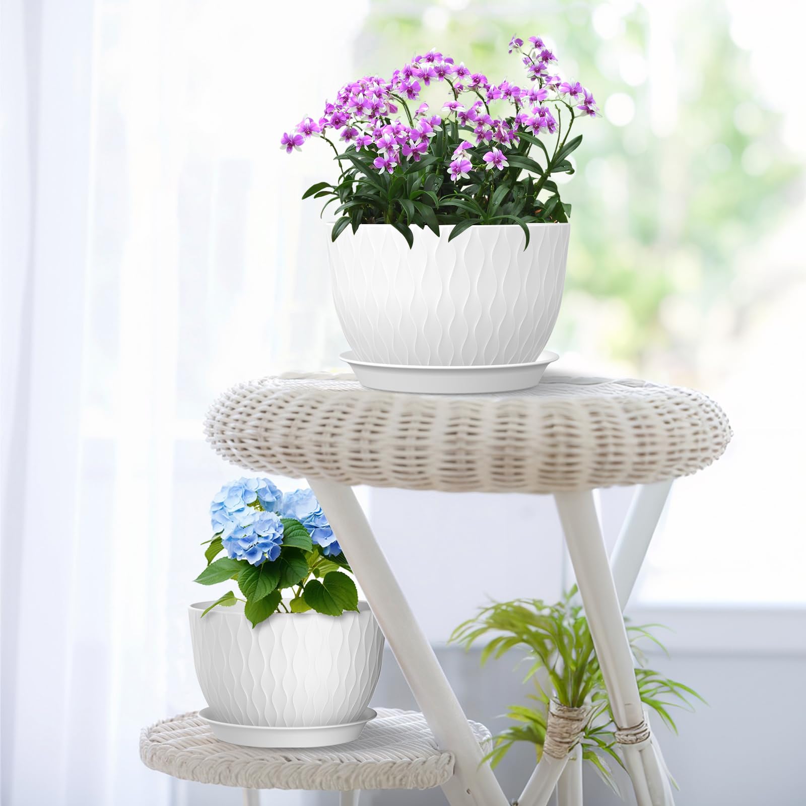 Meowell large plant pots set on a wooden table