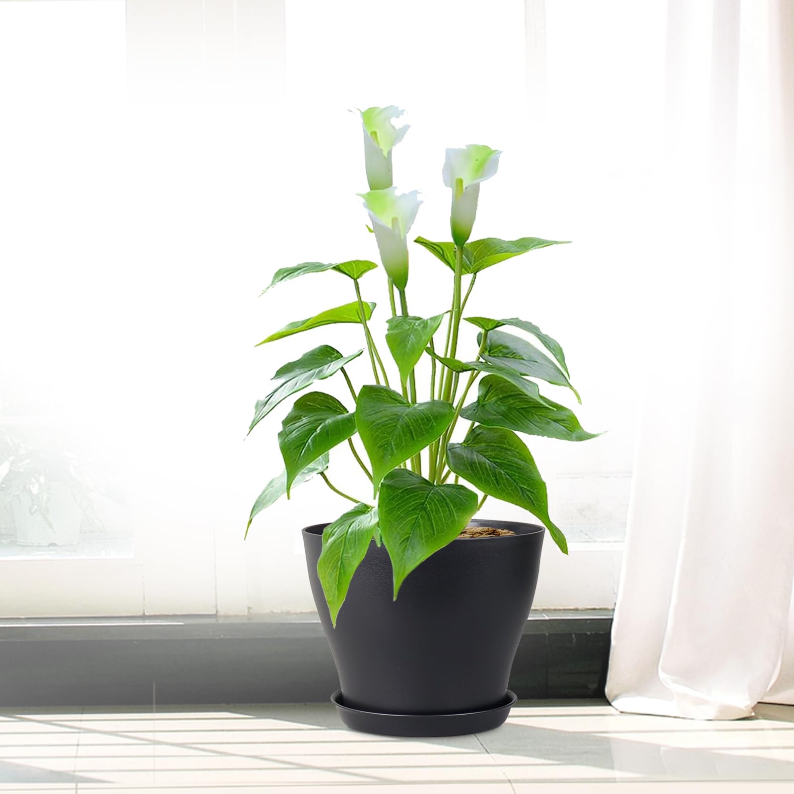 Meowell nursery pots displayed on a kitchen windowsill