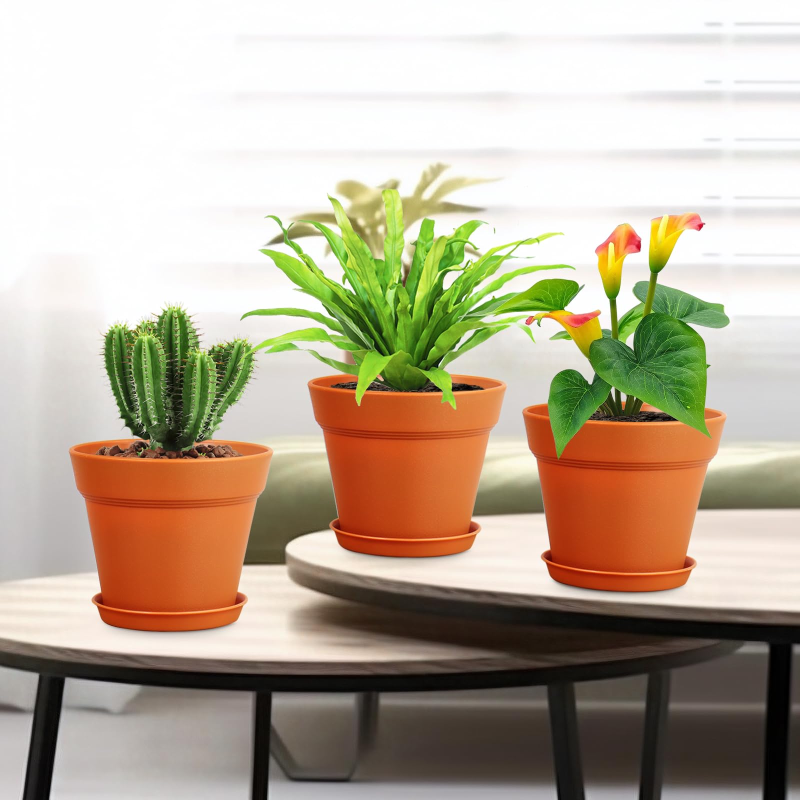 Meowell nursery pots packaging showing 16 pack configuration