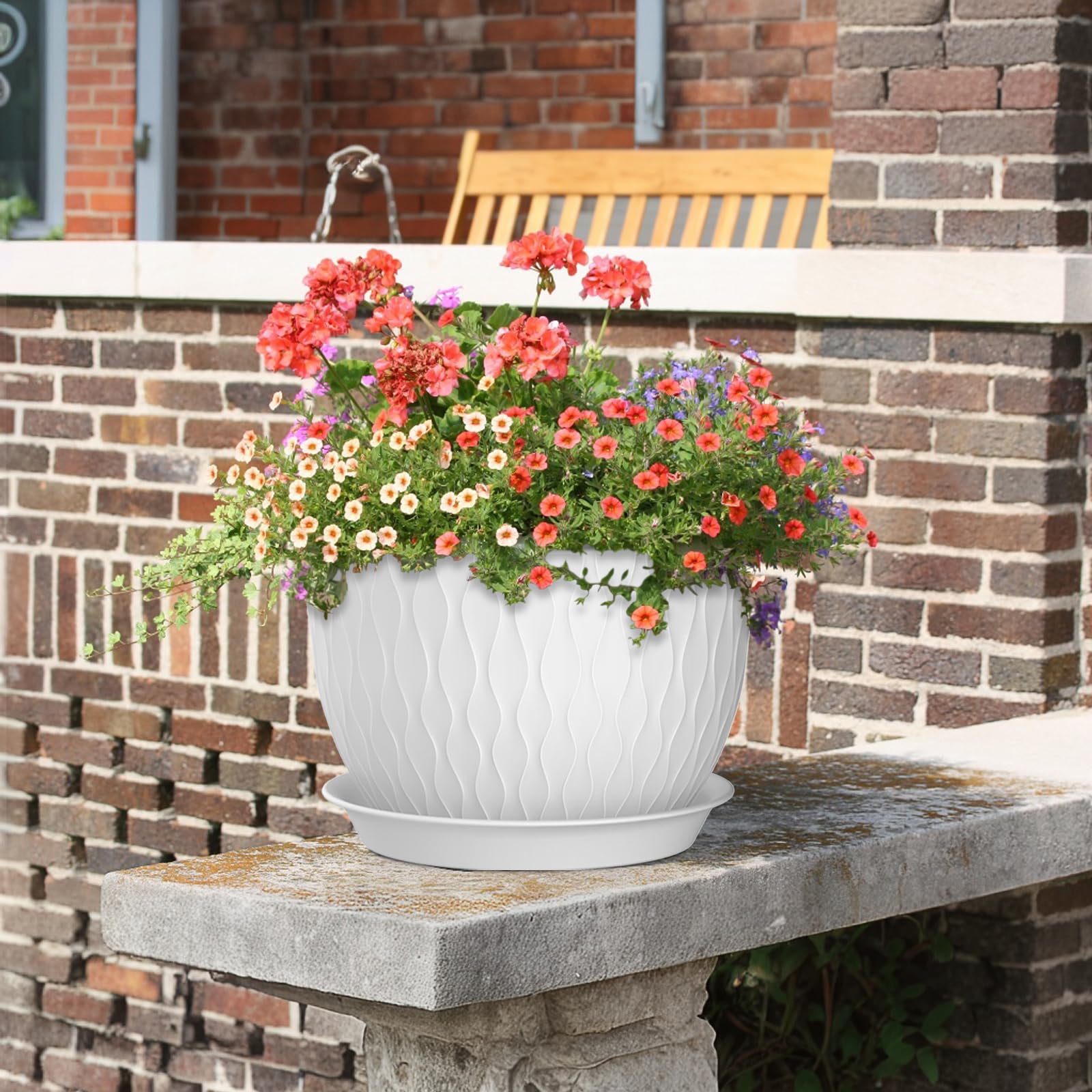 Meowell plant pots with indoor plants displayed