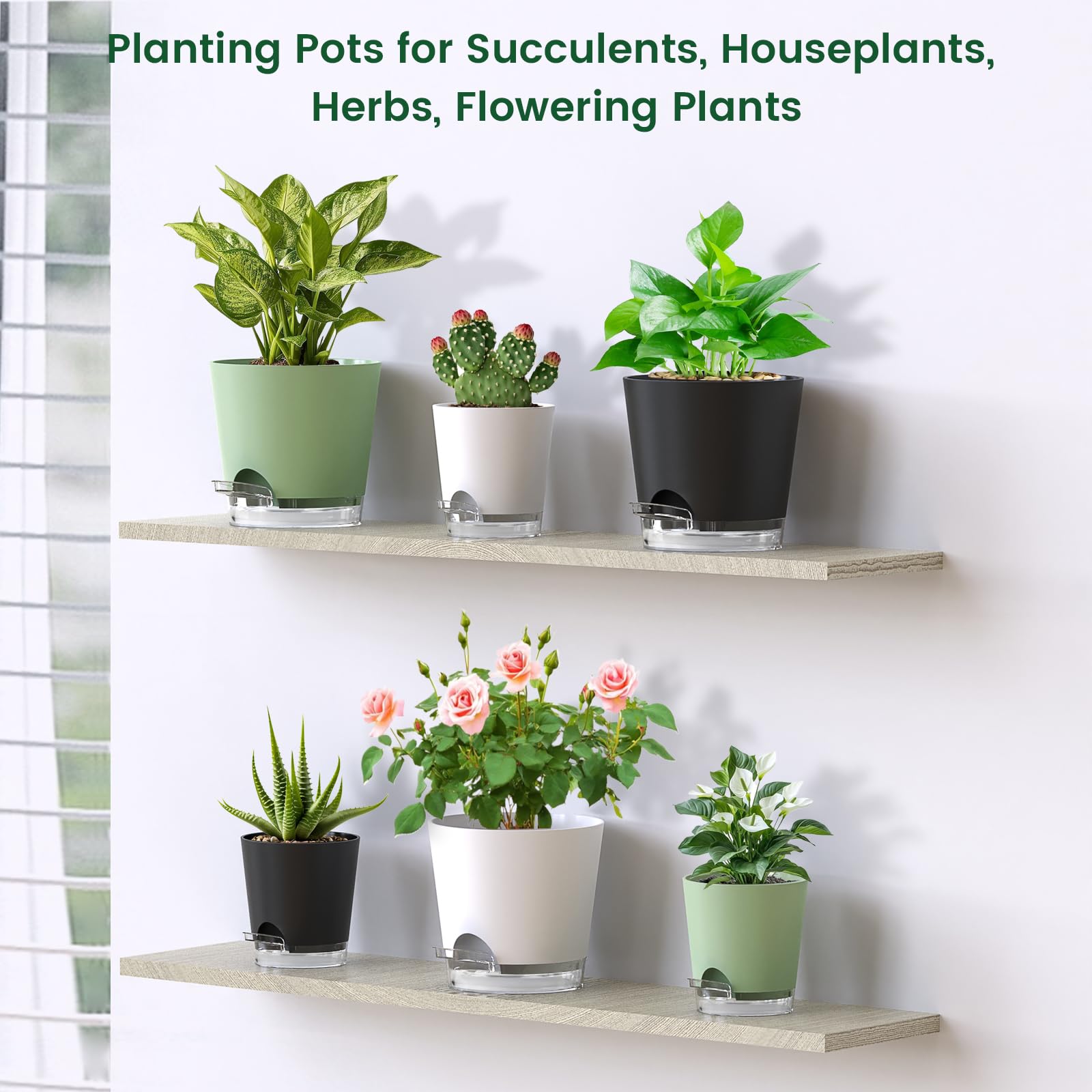 Meowell self watering pots packaged with accessories