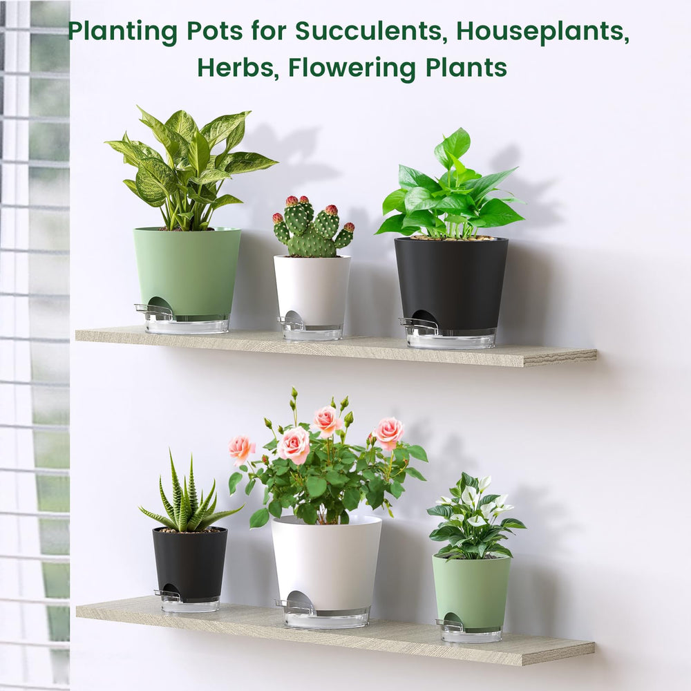 Meowell self watering pots packaged with accessories