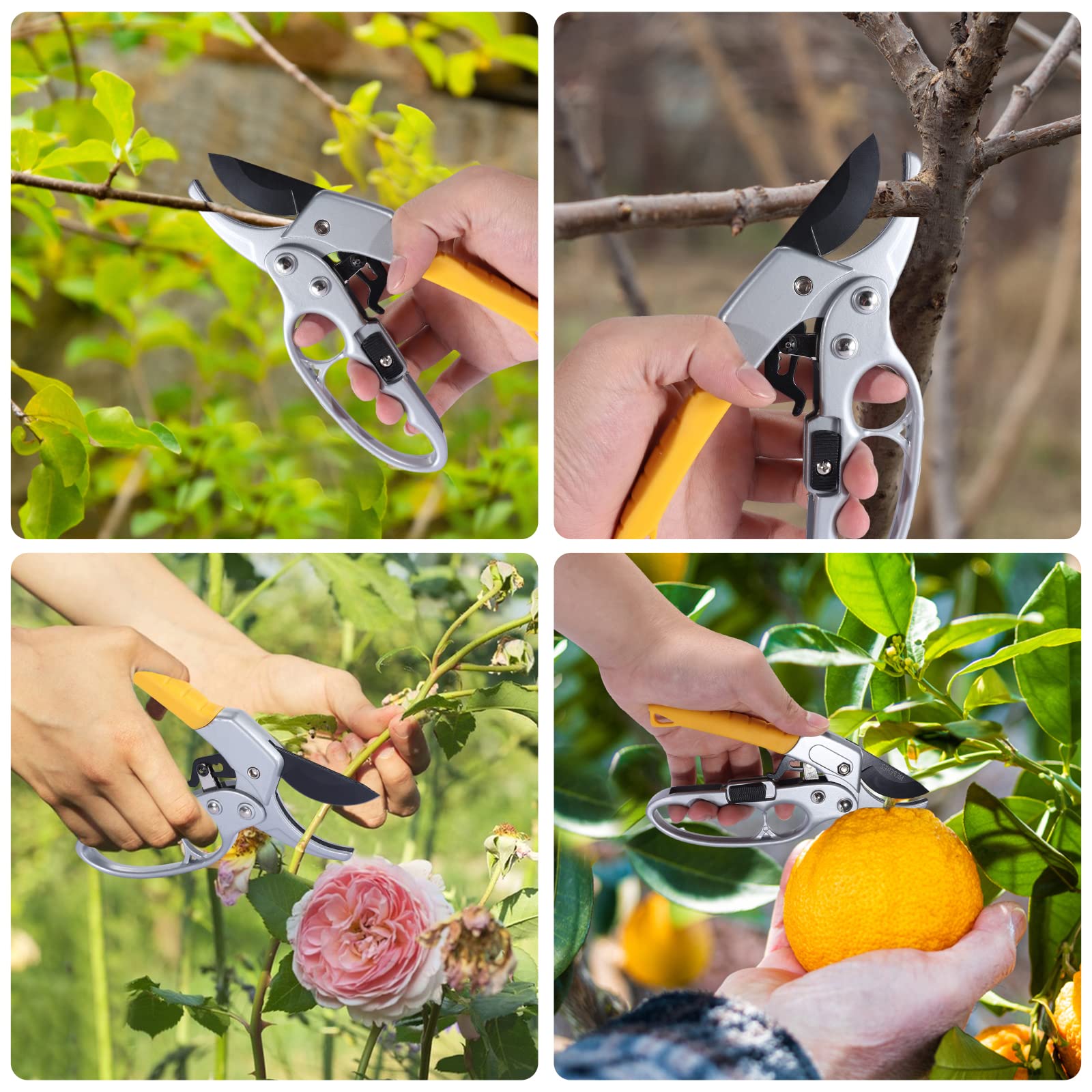 MEPEREZ pruning shears displayed on a gardening table