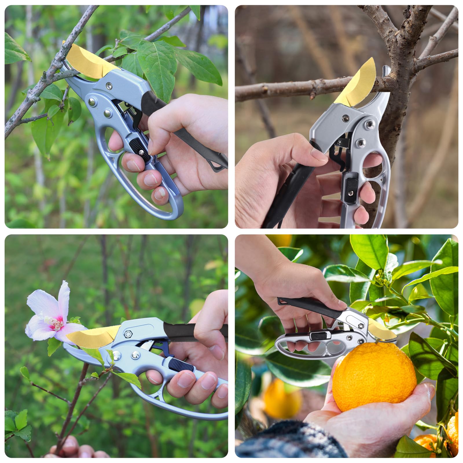 MEPEREZ pruning shears packaging and specifications