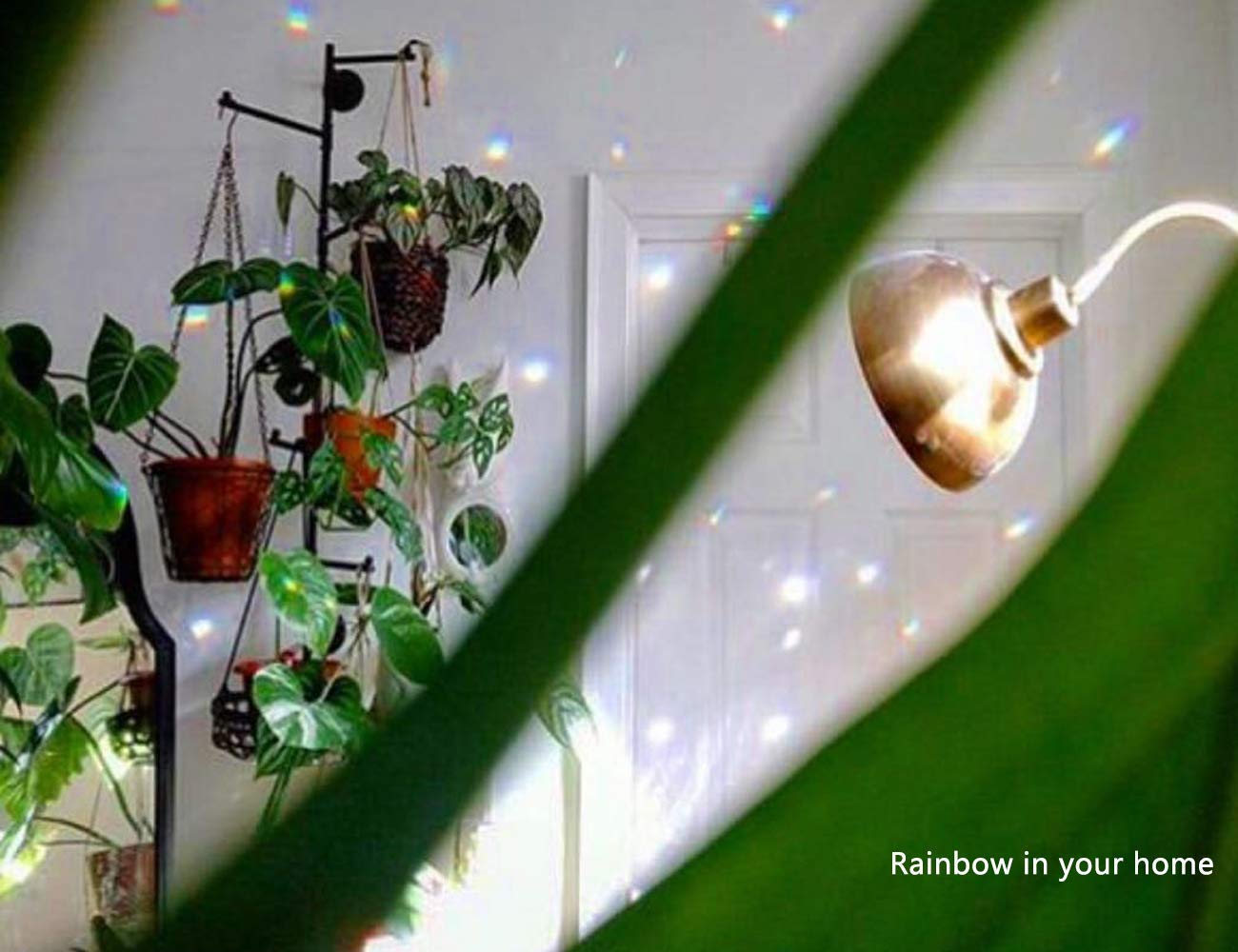 MerryNine Crystal Sun Catcher balls reflecting rainbows