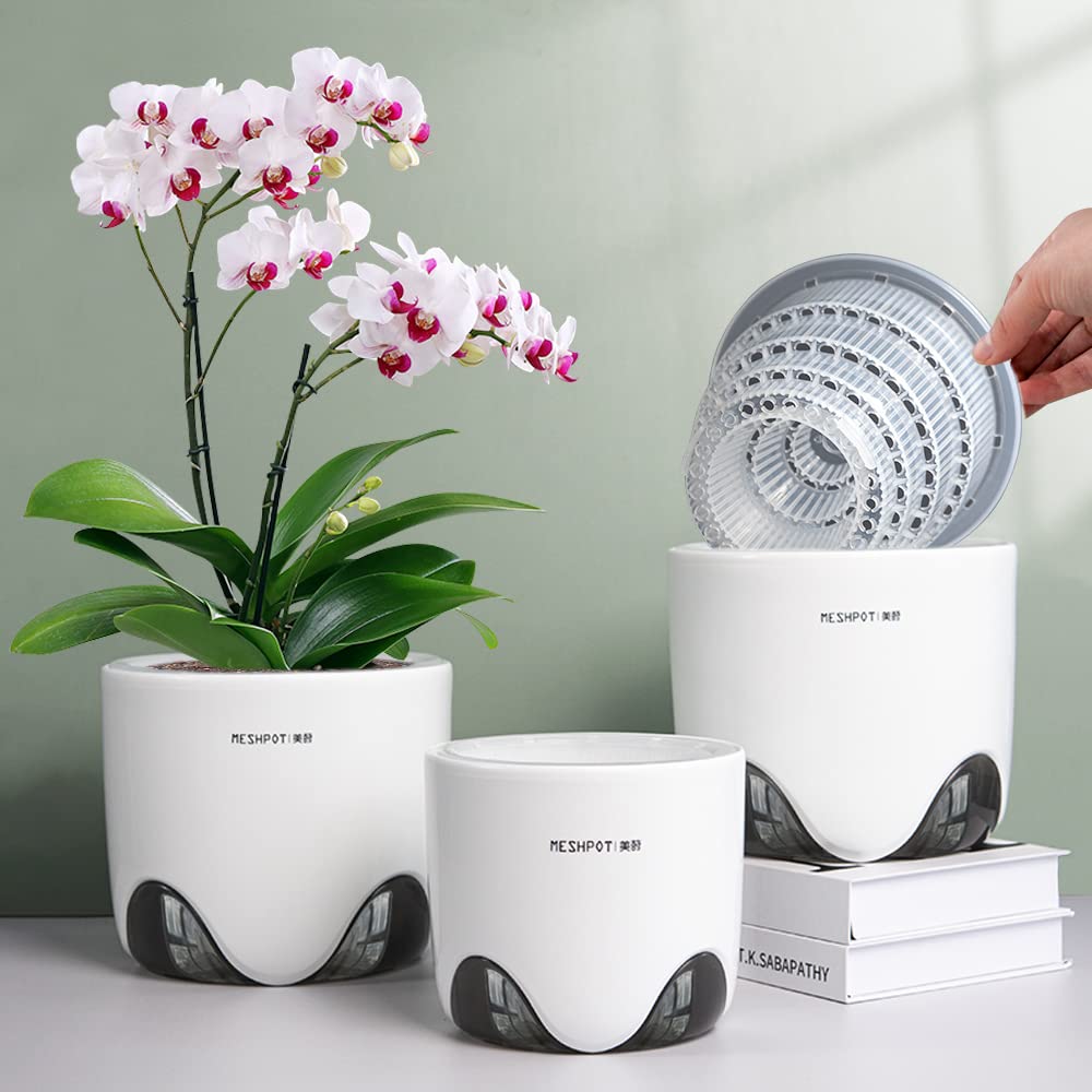 Meshpot 4 Inch Orchid Pot front view with drainage holes
