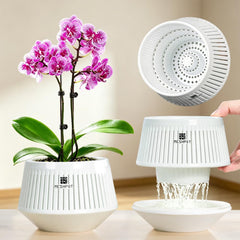 Meshpot 5 Inch Orchid Pot clear model front view with saucer