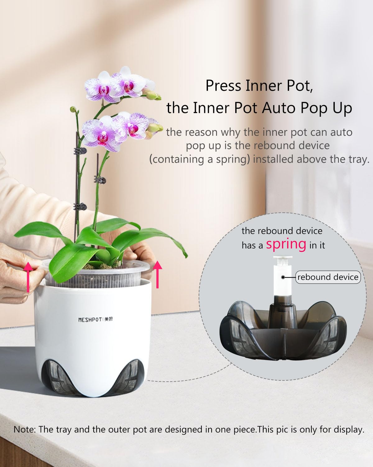 Meshpot clear orchid pot showcasing 360° ventilation holes