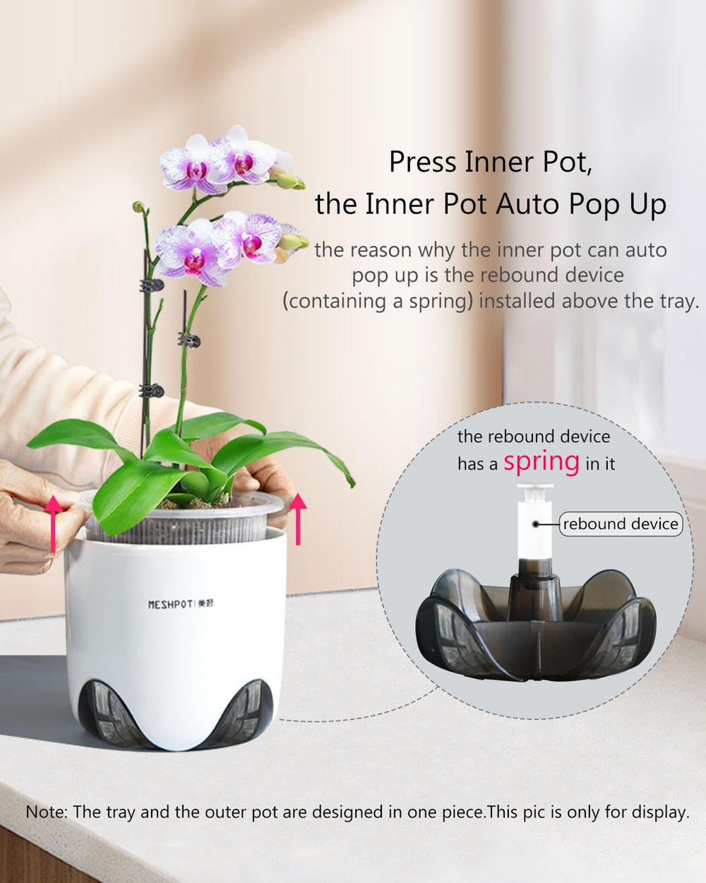 Meshpot clear orchid pot showcasing 360° ventilation holes