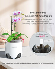 Meshpot clear orchid pot showcasing 360° ventilation holes