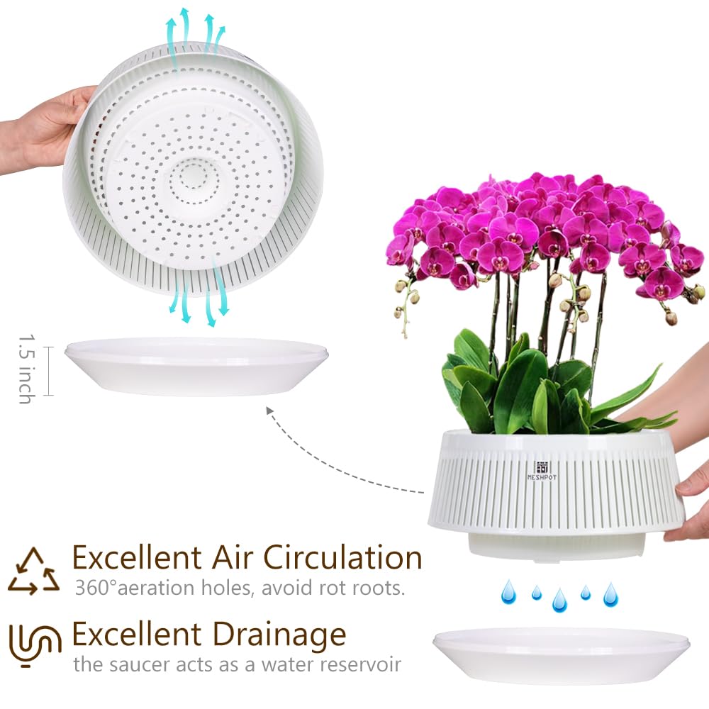 Meshpot double-layered orchid pot showing air-pruning feature