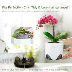 Meshpot Orchid Pot 6 Inch decorative outer layer