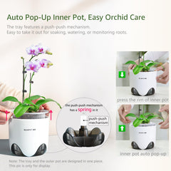 Meshpot Orchid Pot 6 Inch with tray for easy drainage