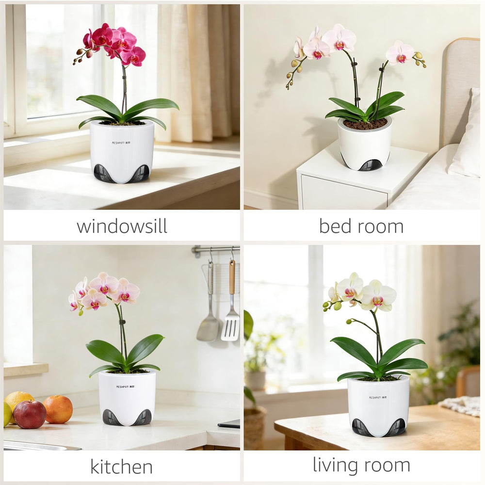 Meshpot orchid pot set of 2 displayed with orchids