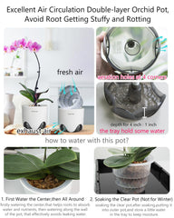 Meshpot Orchid Pot set of 2 with tray included