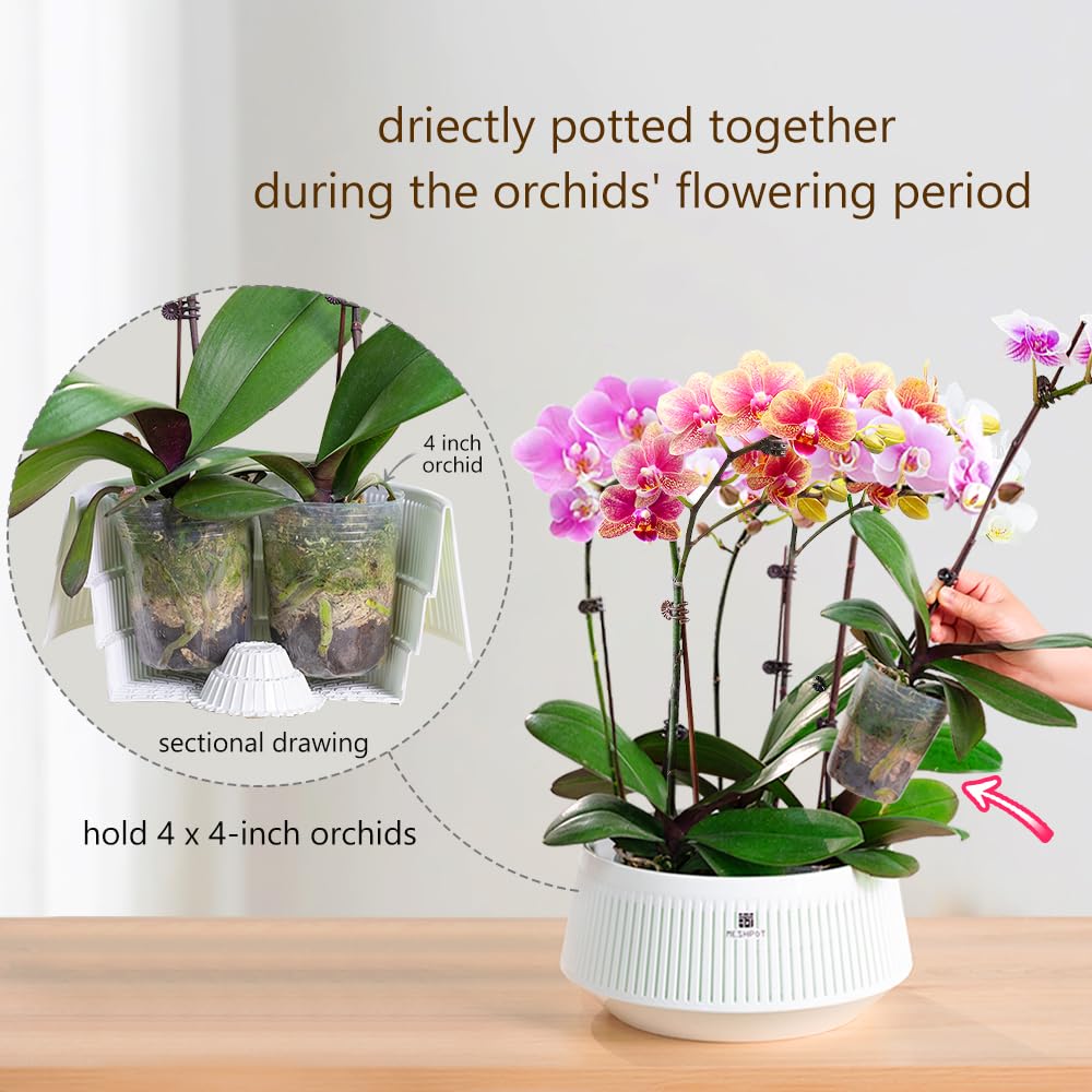 Meshpot orchid pot with excellent air circulation design