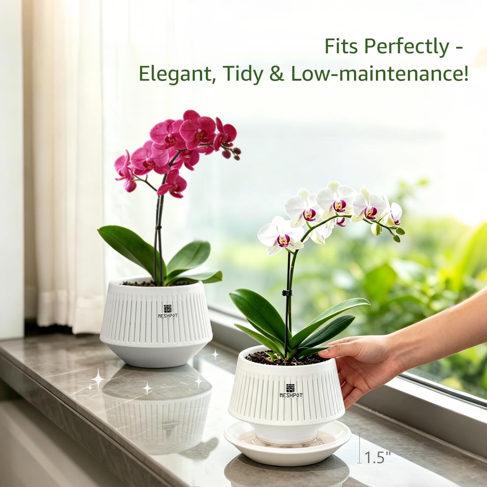 Meshpot pots displayed with blooming orchids