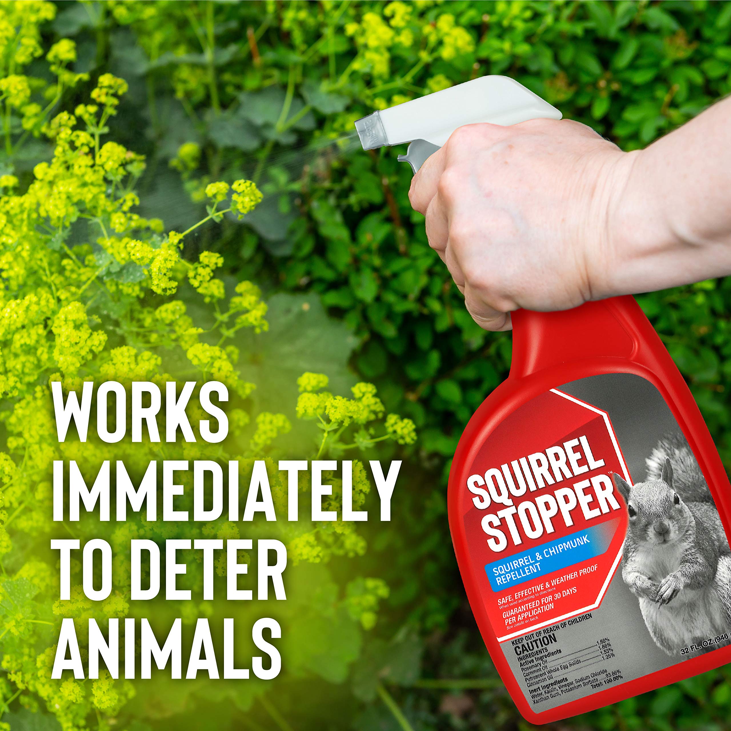 Messinas Squirrel Stopper Repellent Spray being applied to a bird feeder