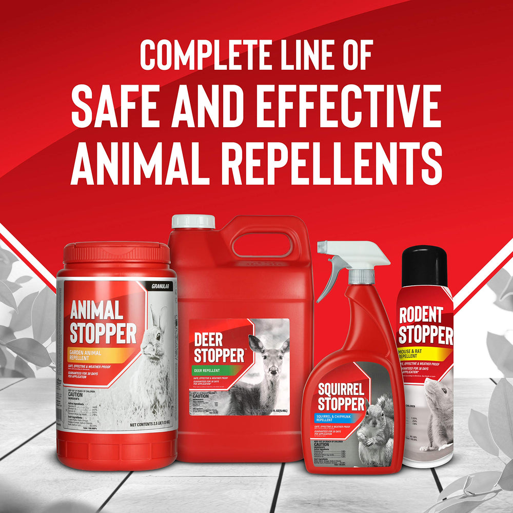 Messinas Squirrel Stopper spray used around garden beds