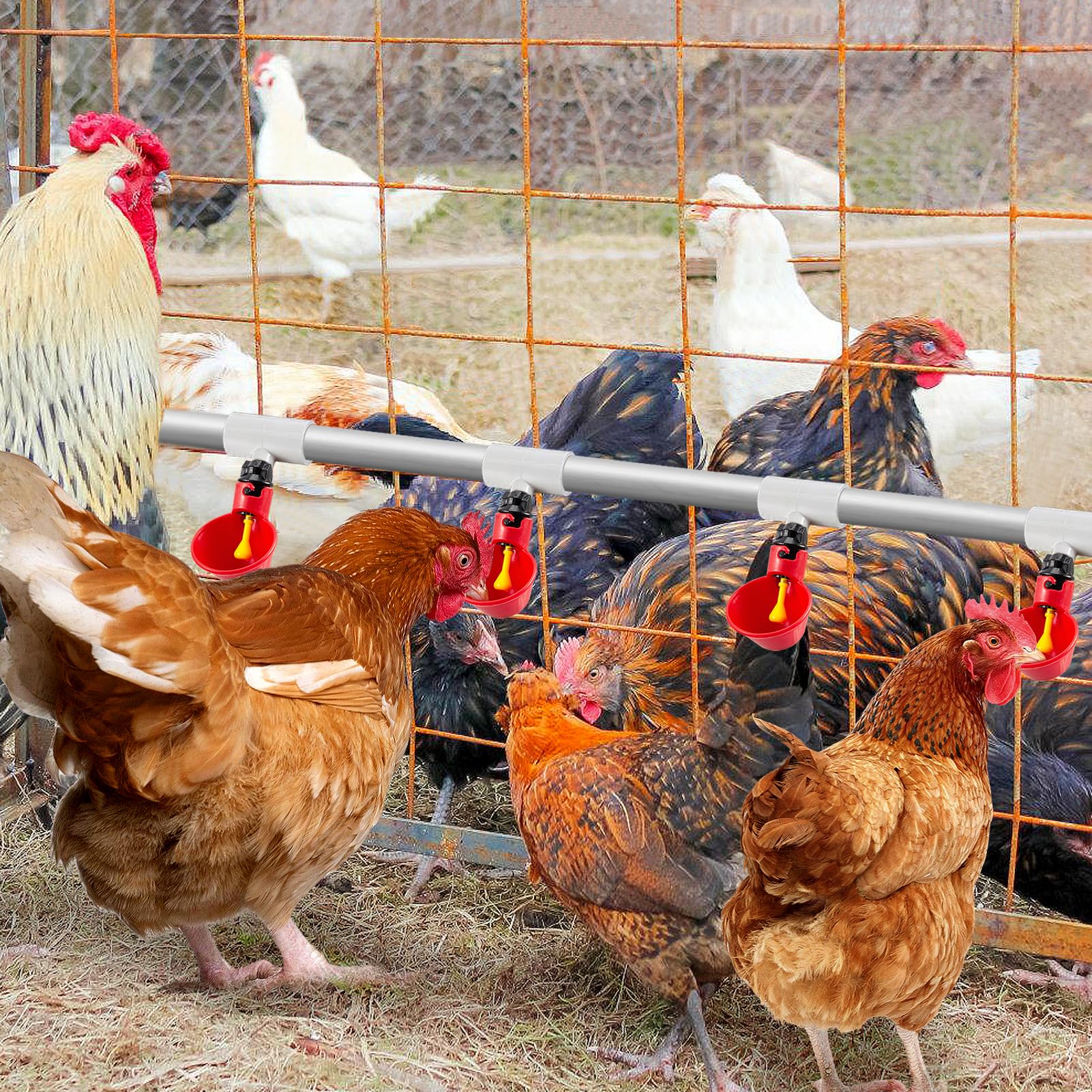 MEWTOGO Chicken Waterer PVC Tee Fittings packaging
