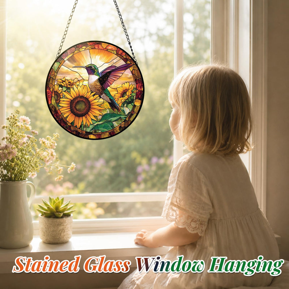 Meyocky Hummingbird Suncatcher packaged in a sturdy box