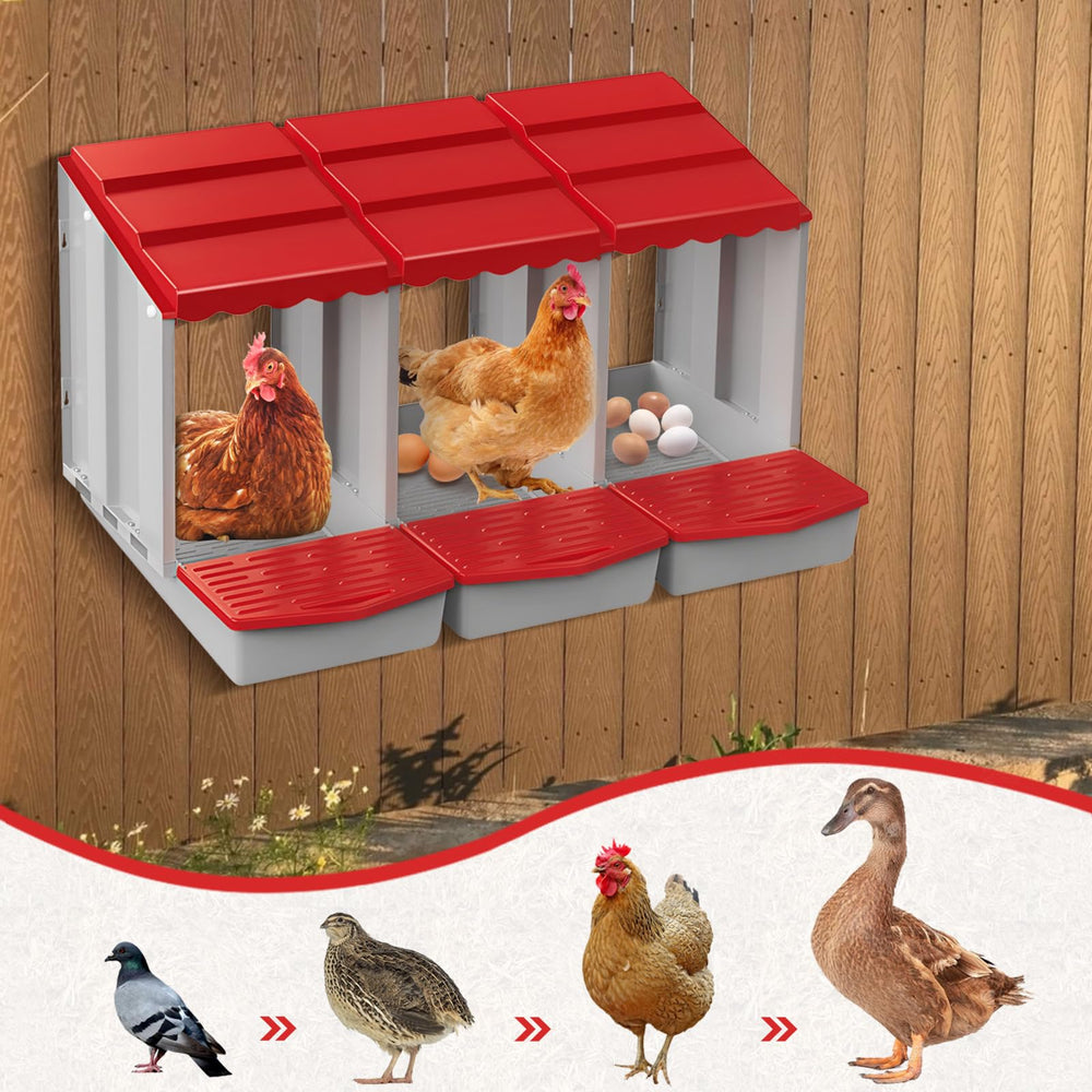 Meyoppm Chicken Nesting Box shown in a backyard setting