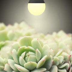 mfxmf LED Grow Light Bulb packaging showing 4 pack