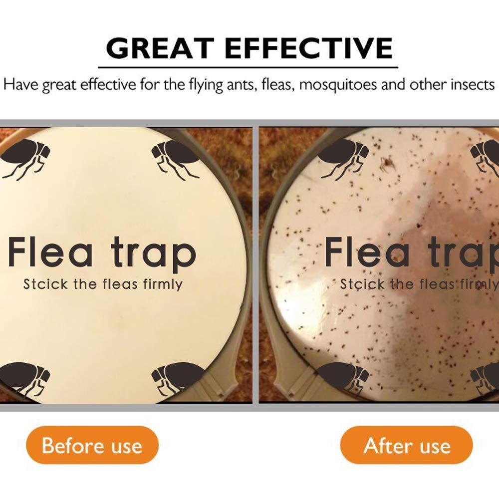 Micnaron Flea Trap in use catching pests