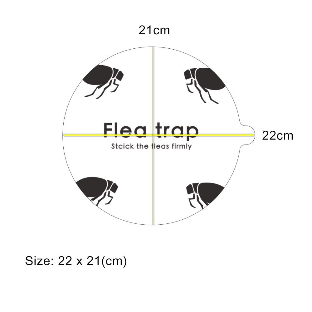 Micnaron Flea Trap refills placed in a home setting