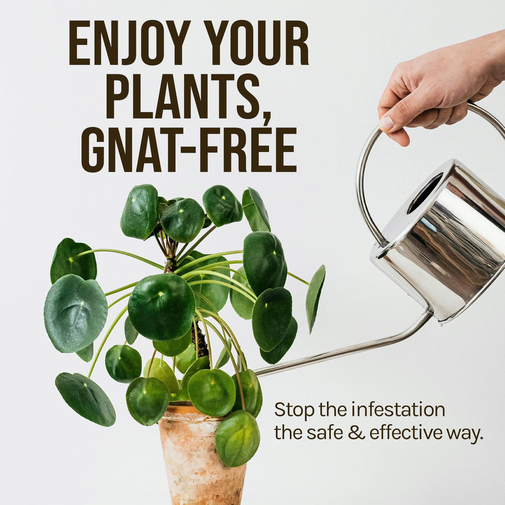 Microbe Life Hydroponics FGX Fungus Gnat Killer application instructions