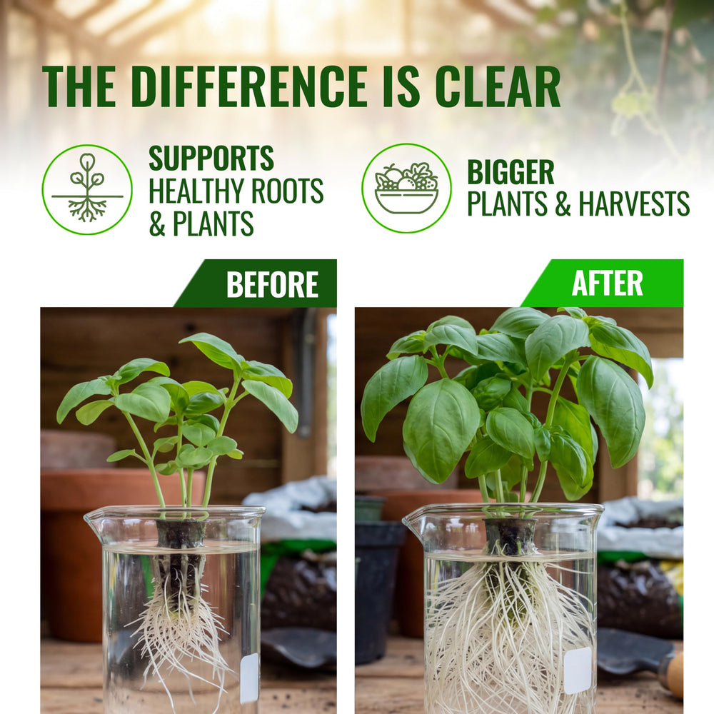 Microbe Life Hydroponics Photosynthesis Plus in garden setting