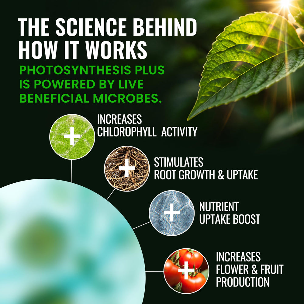 Microbe Life Hydroponics Photosynthesis Plus usage in hydroponics system