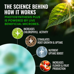 Microbe Life Hydroponics Photosynthesis Plus usage in hydroponics system