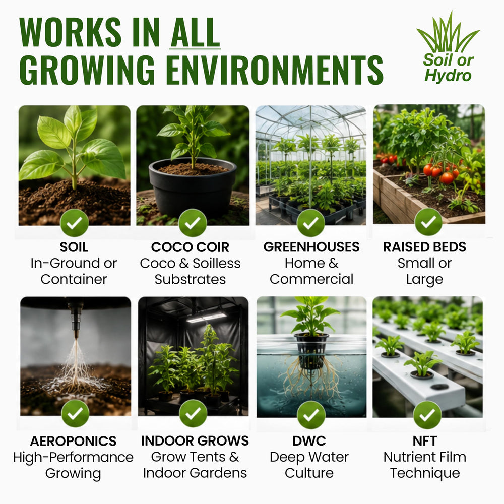 Microbe Life Hydroponics Photosynthesis Plus with fruits and vegetables