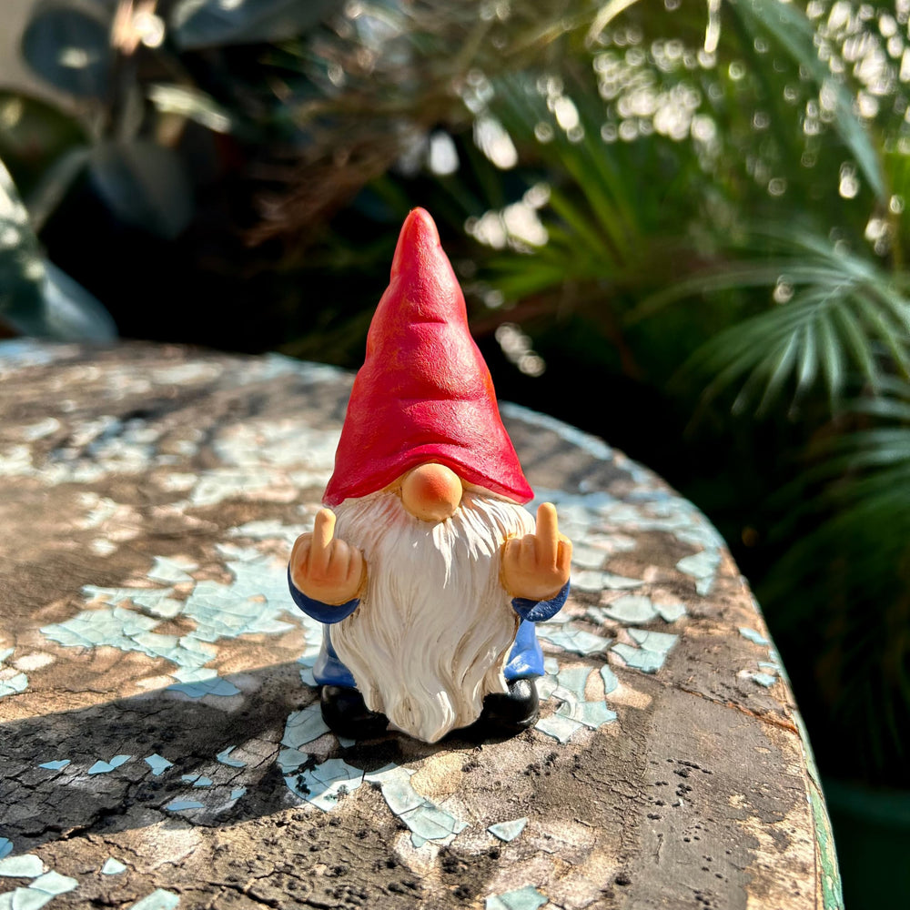Middle Finger Gnome Mini 3.5in placed in a garden setting