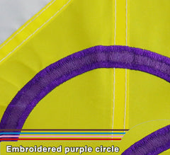 MIDLE New Progress Pride Flag displayed outdoors