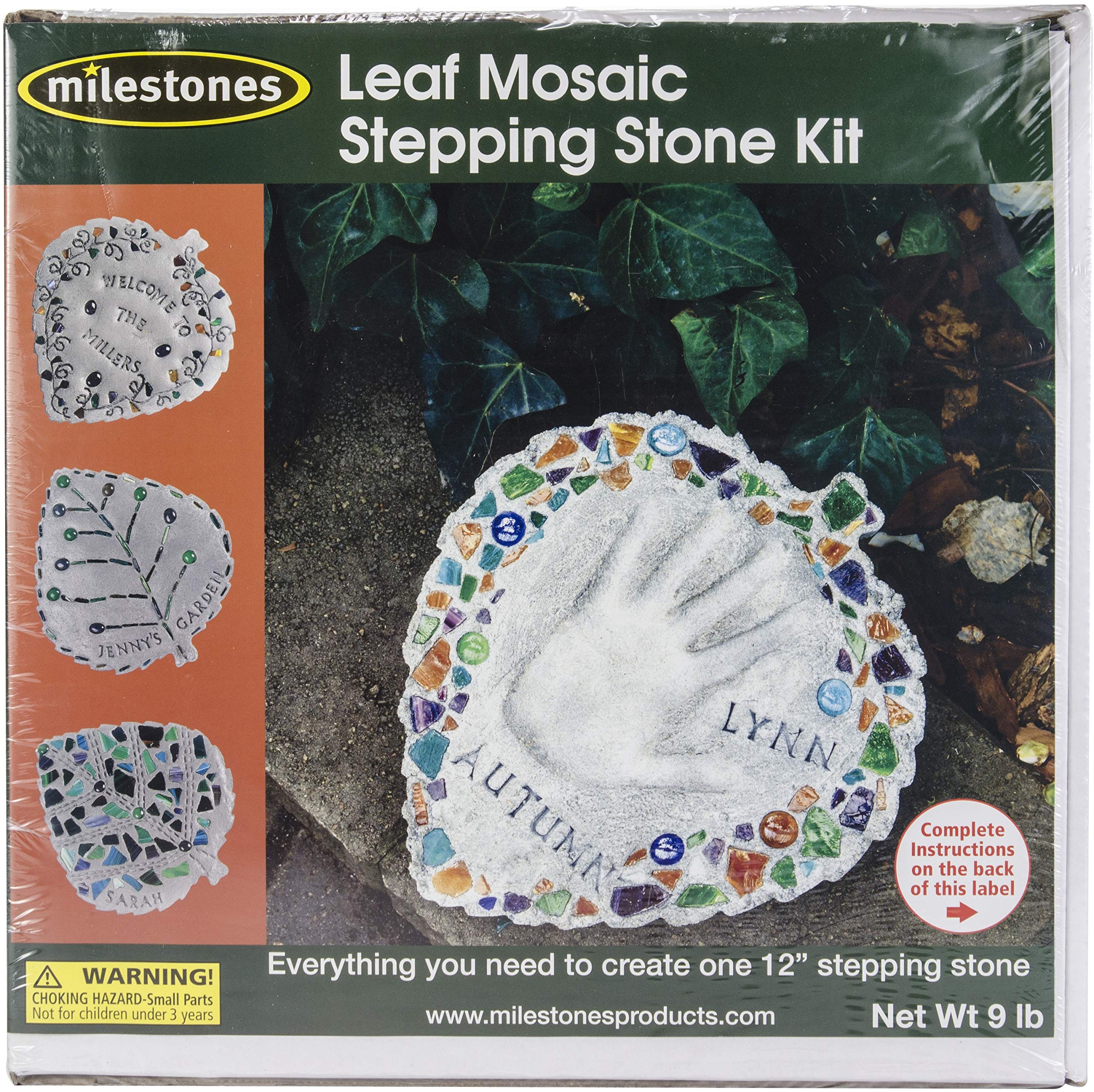 Midwest Products Mosaic Stepping Stone Kit, Leaf 12 inch box front view