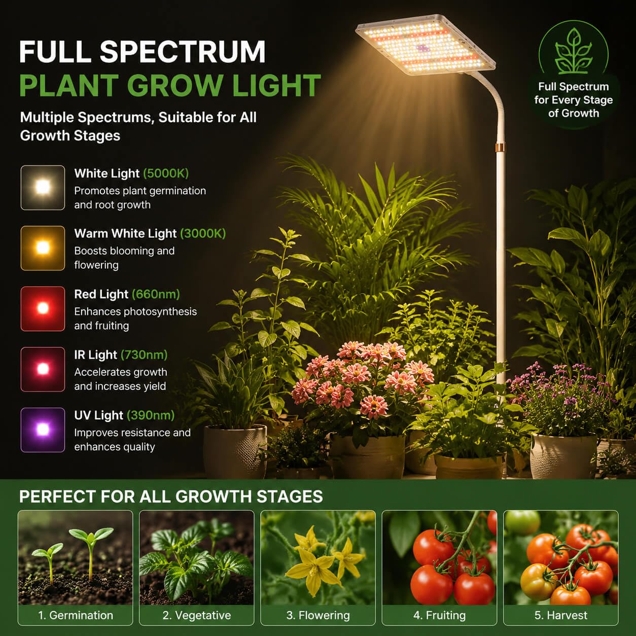 MIEEMCLUX 25W LED Grow Light in use with indoor plants
