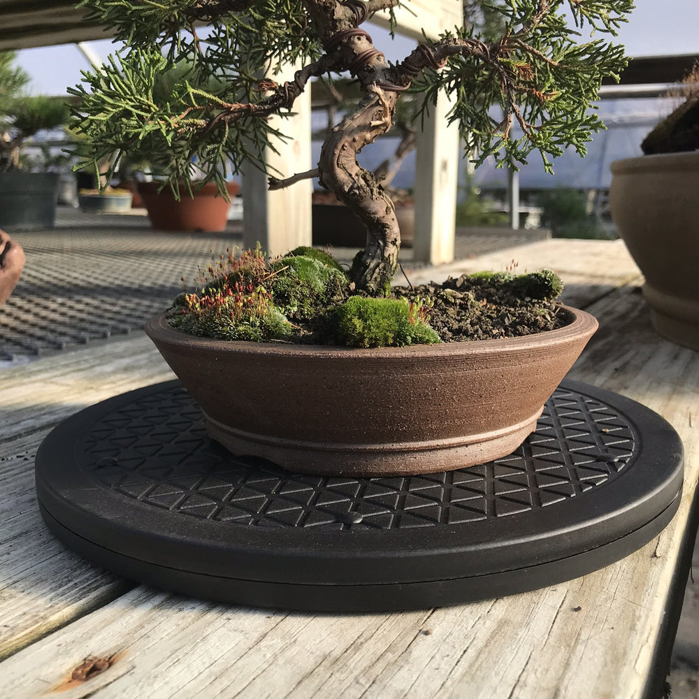 Mighty Mini Bonsai Turntable 360-degree rotation feature