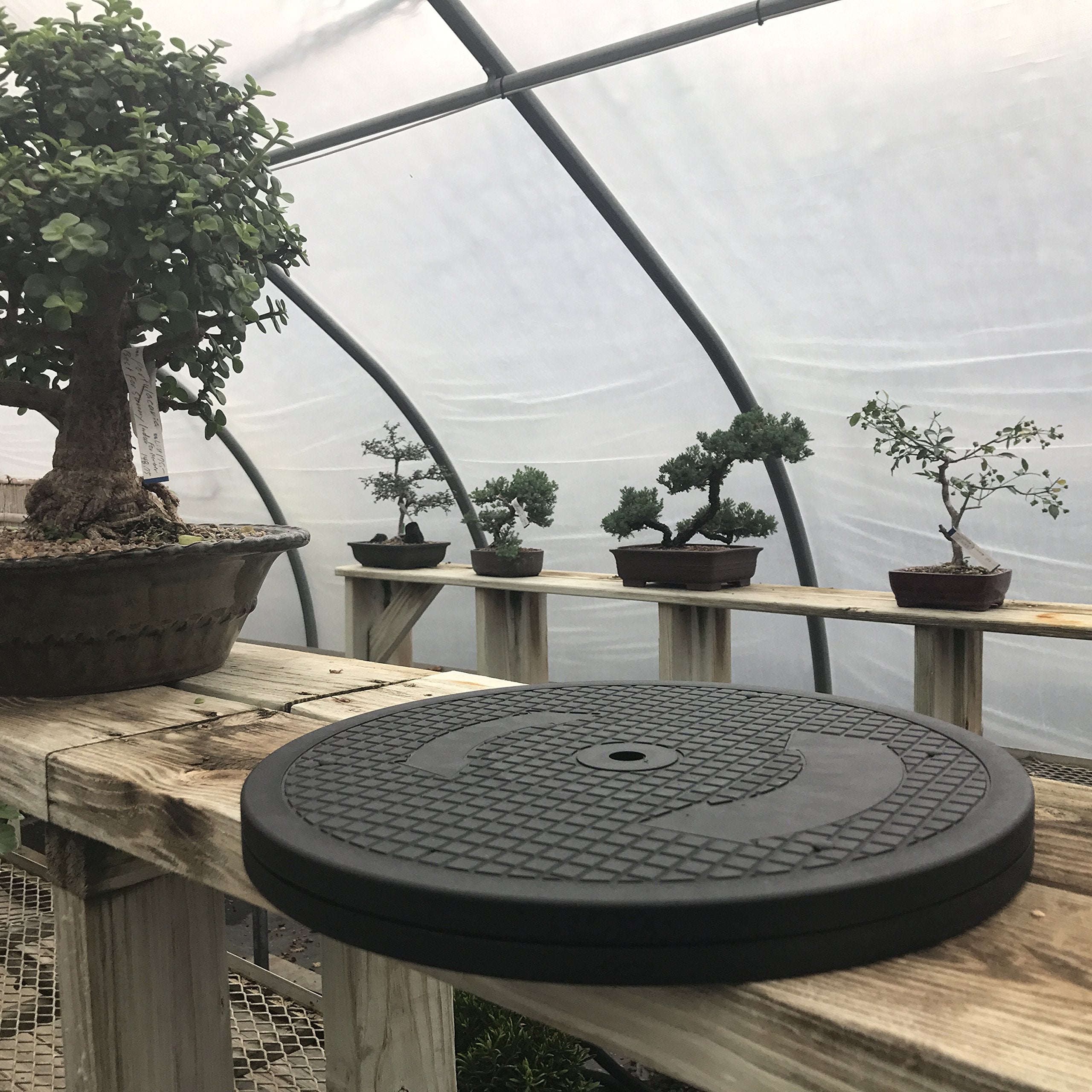 Mighty Mini Bonsai Turntable stainless steel ball bearings close-up