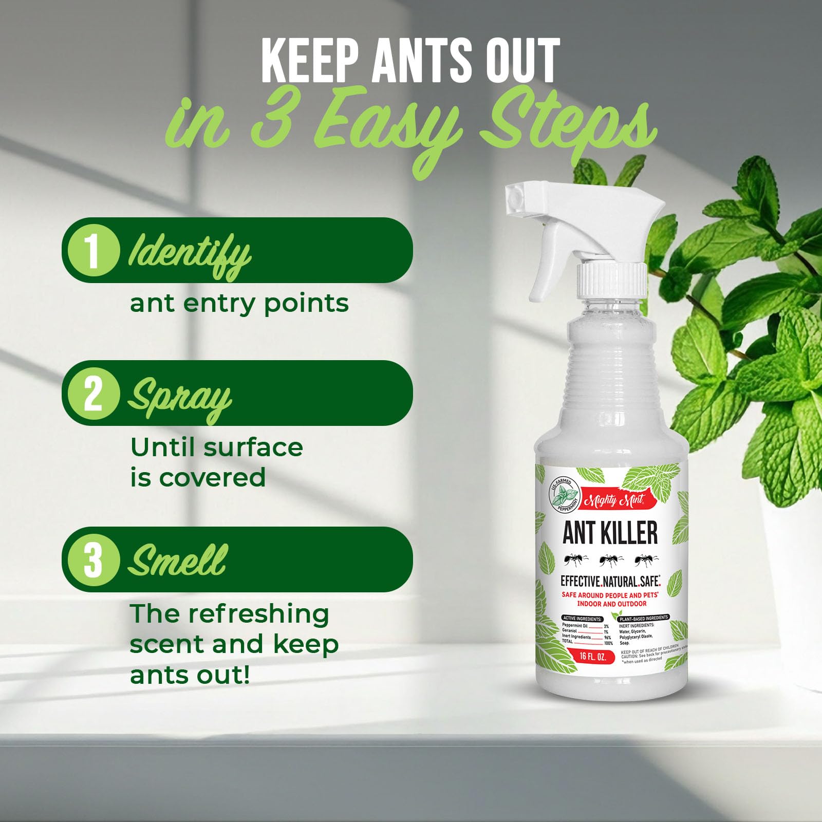Mighty Mint Ant Killer Spray usage demonstration
