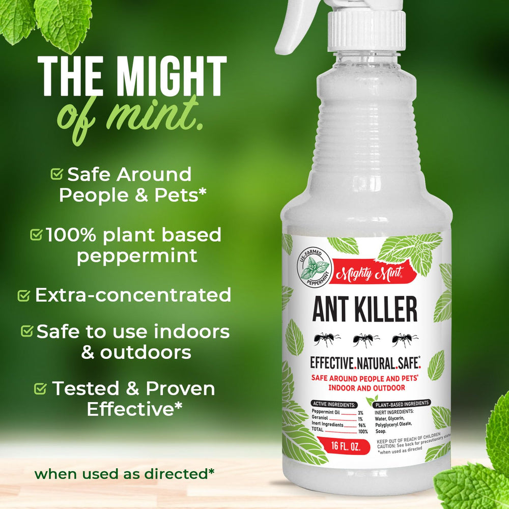 Mighty Mint Ant Killer Spray with measurement details