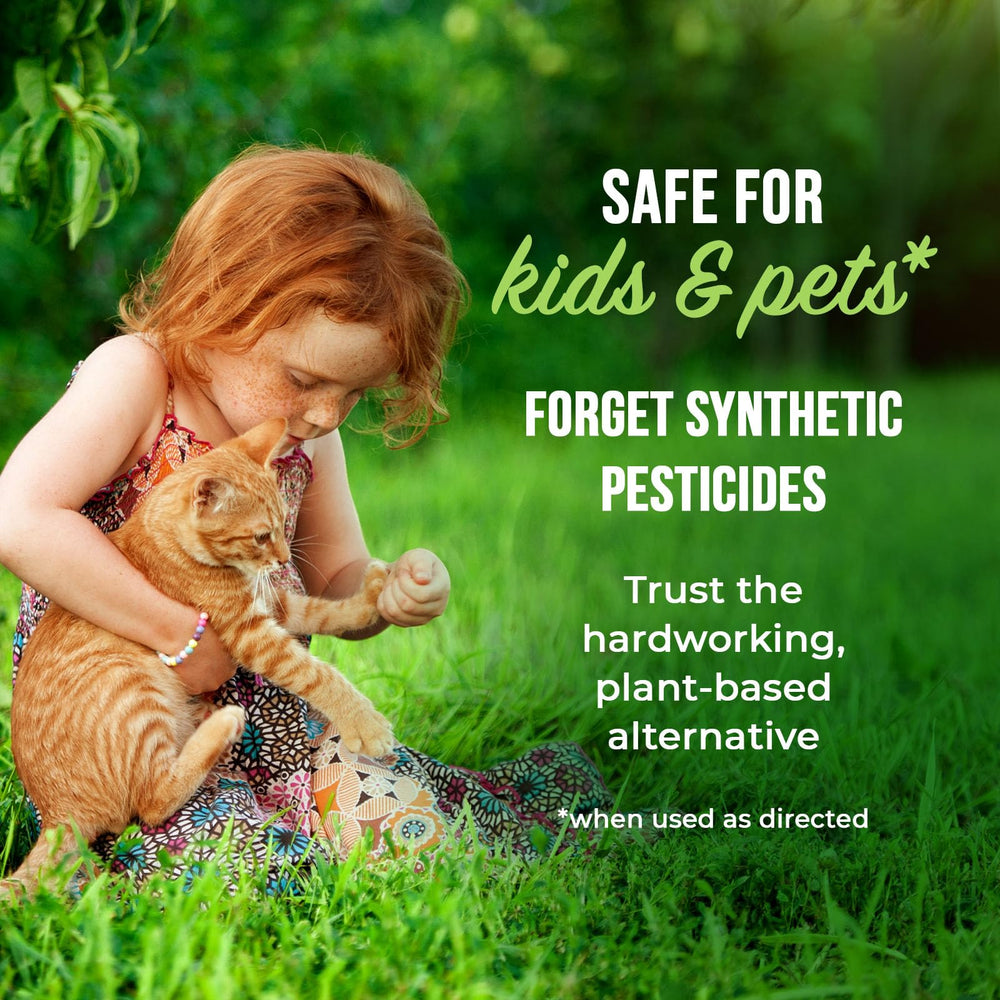 Mighty Mint Ant Killer Spray with peppermint leaves