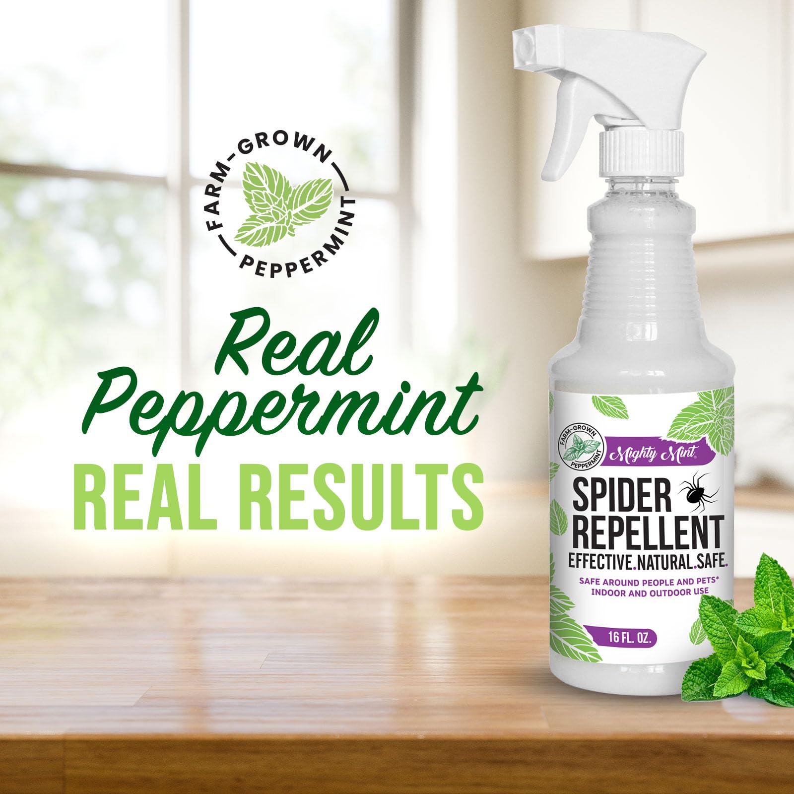 Mighty Mint Spider Repellent Spray with microfiber cloth