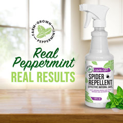 Mighty Mint Spider Repellent Spray with microfiber cloth