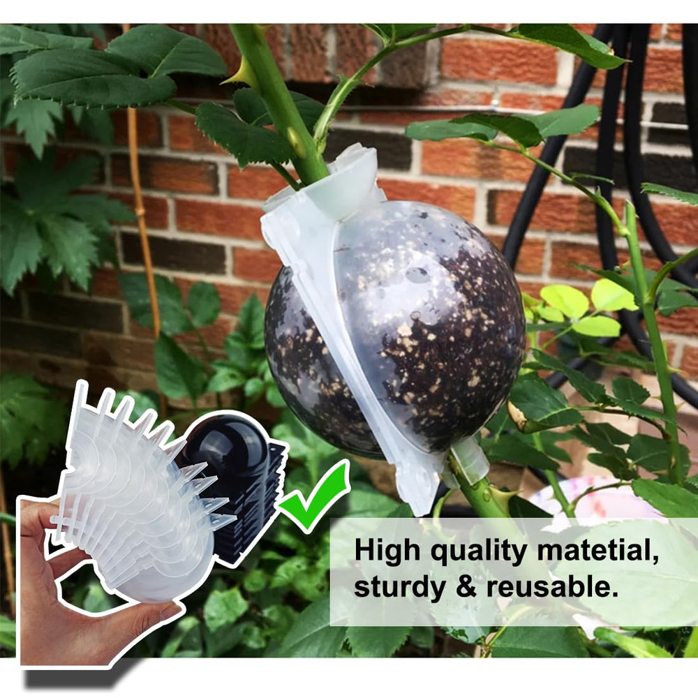 MIIIM grafting ball with soil packed inside