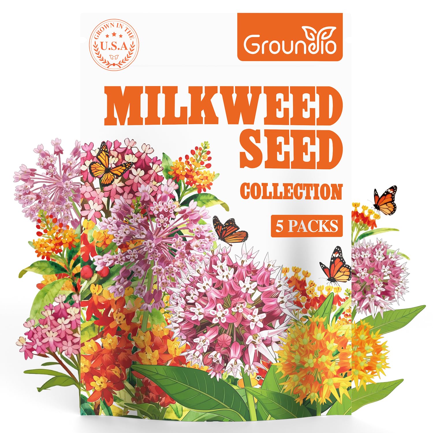 Milkweed flowers attracting butterflies