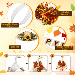 Mindsoft Fall Goose Outfit in package