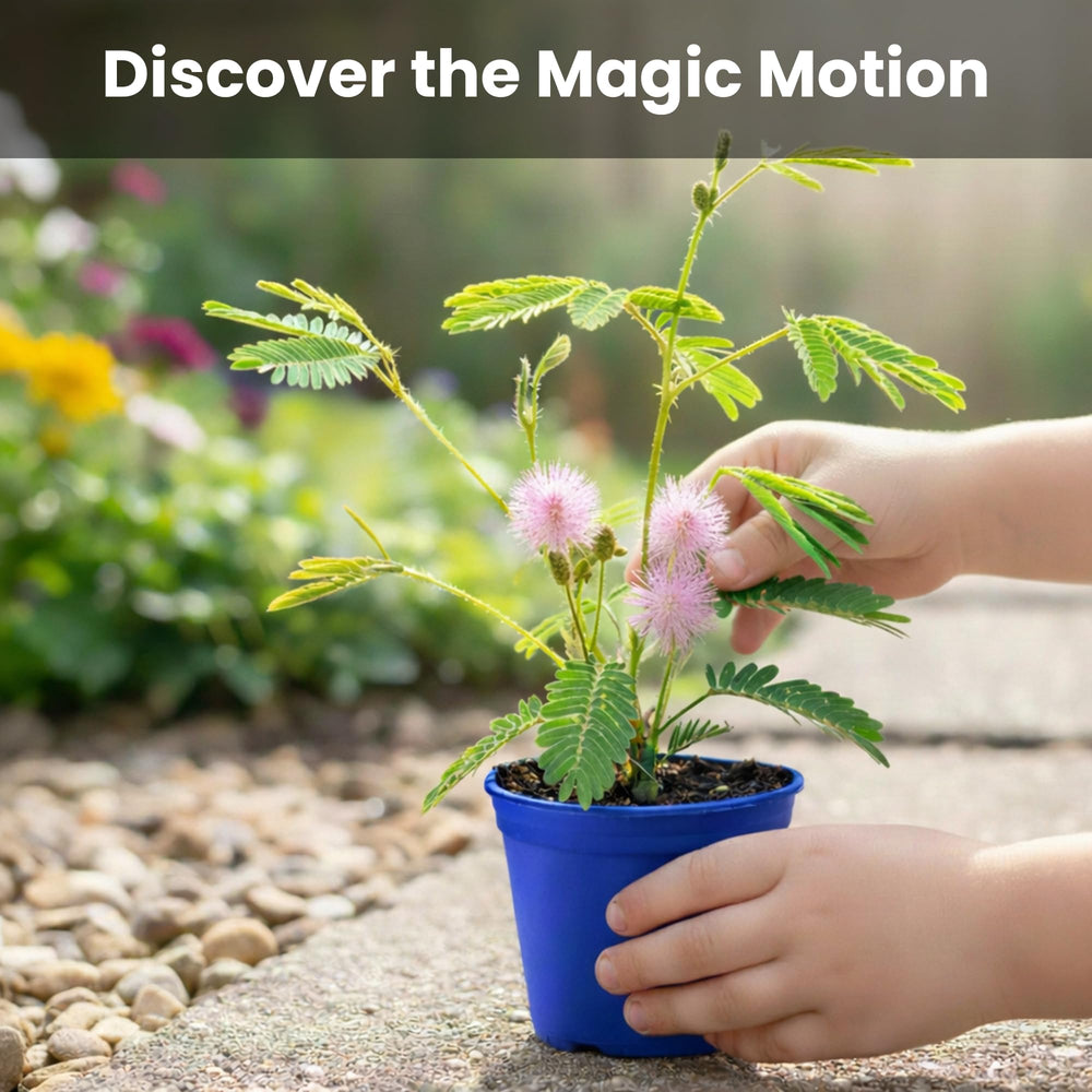 Mini flower pots included in the TickleMe Plant kit